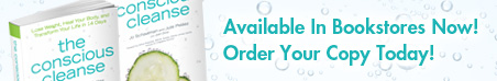 Buy The Conscious Cleanse Book By Julie Pelaez and Jo Schaalman Buy The Conscious Cleanse Book By Julie Pelaez and Jo Schaalman