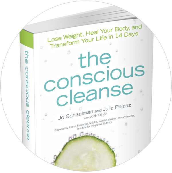 Conscious Cleanse Book