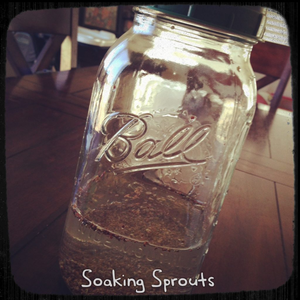 SoakingSprouts