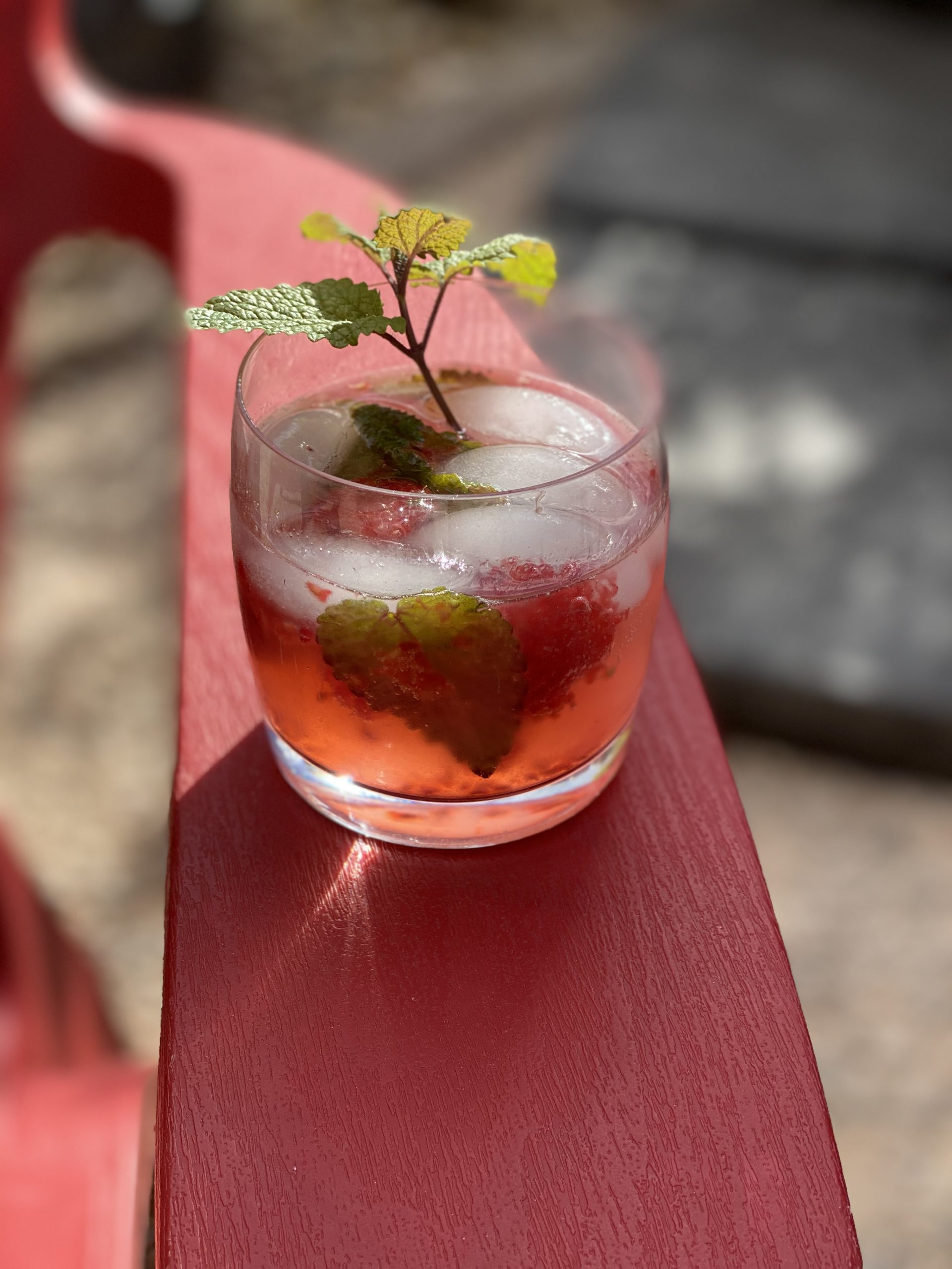 The Conscious Cleanse Guide to Mocktails and Cocktails