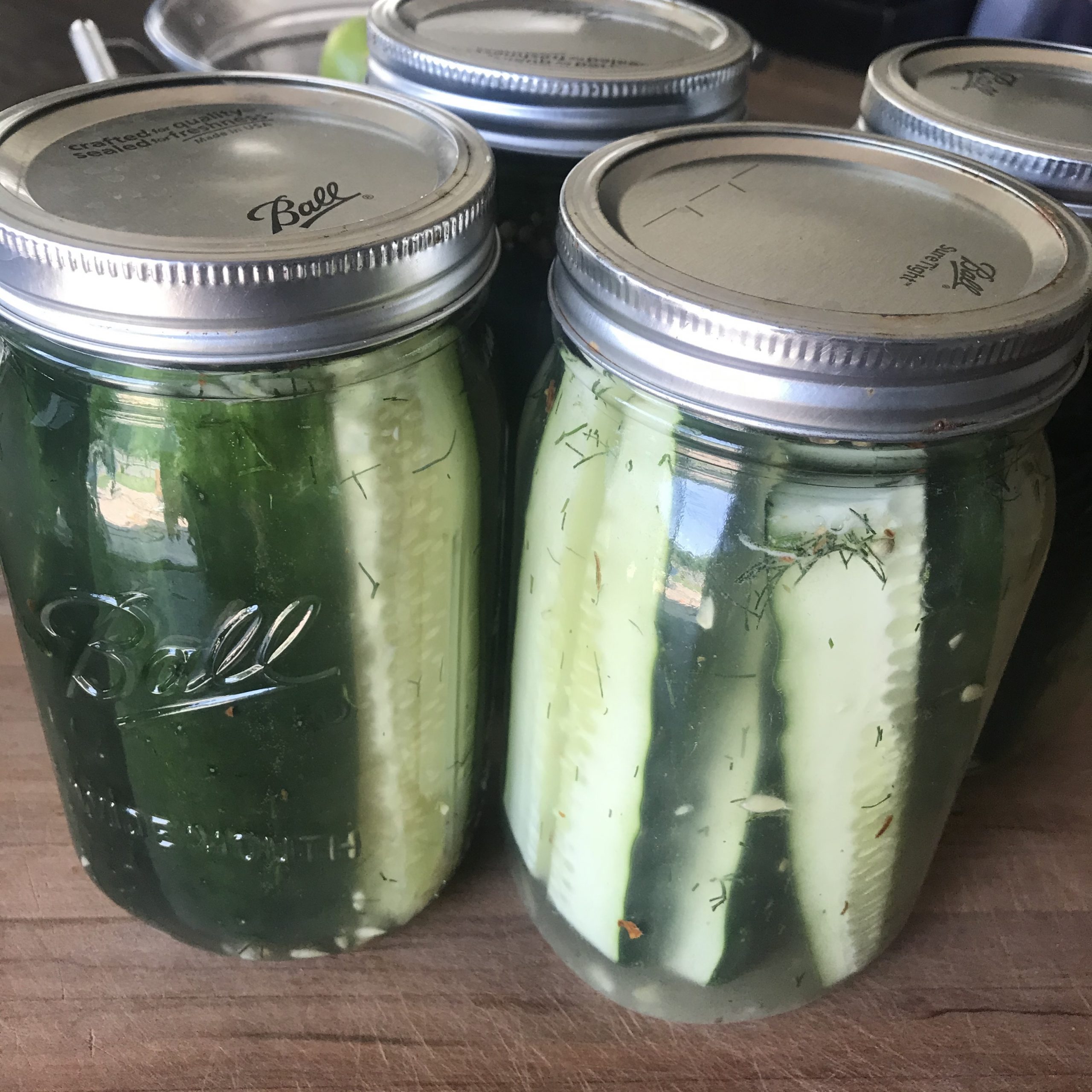Jules’ Fermented Dill Pickles