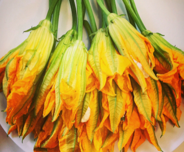 Cashew Cheese Stuffed Squash Blossoms